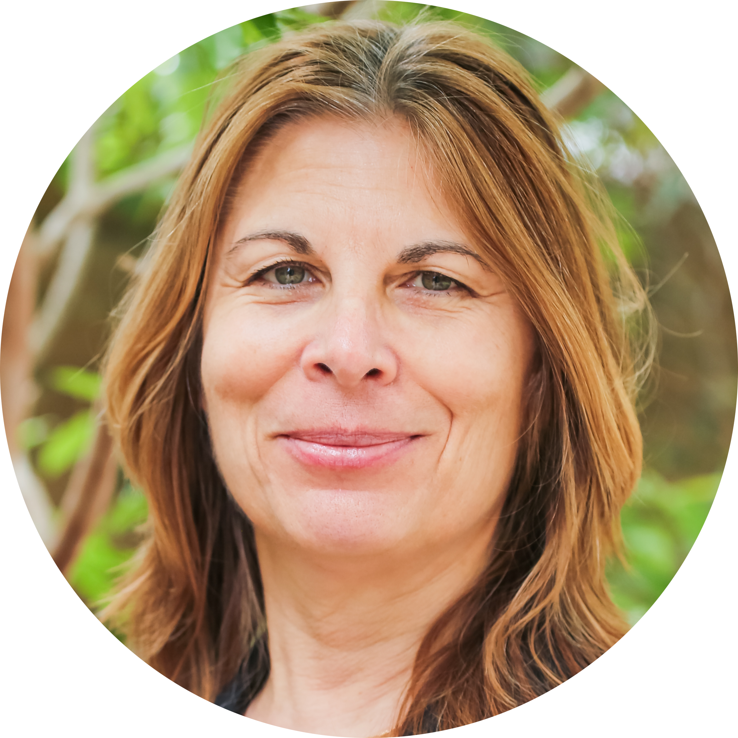 SWF_8656-modified SWF_8656-modified